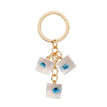 2021 Nove ustvarjalne akril kocka posušen cvet cat claw kocke diamond ledu keychain modno torbico obesek za avto dekoracijo darilo