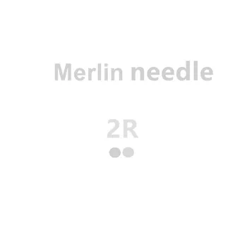 2R 50pcs Merlin Tatoo Igle Za Stalno Ličila Merlin Pralni-Strokovno Obrvi in Ustnice Ličila Igle Brezplačna Dostava