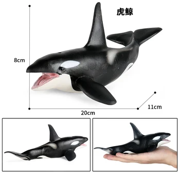 NOVO Simulacija Ocean Živali ABS orka Modeli figuric Spoznavanja Začetku izobraževalne igrače za otroke Božično darilo