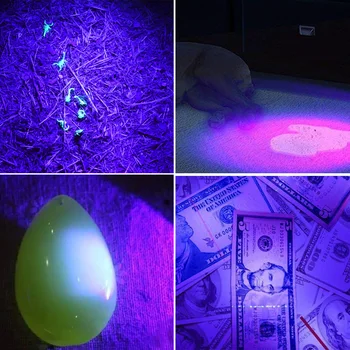 UV LED Svetilka Mini LED Svetilko 395nm blacklight Valovna dolžina Vijolična Svetloba Zoomable Pet Urina Scorpion Žensko higieno Detektor